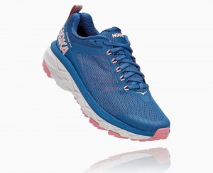 Hoka Challenger ATR 5 Dark Blue / Brown | 46821PQBW