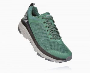 Hoka Challenger ATR 5 Grey | 10796OCFY