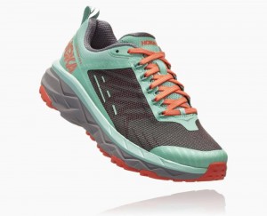 Hoka Challenger ATR 5 Pavement/Lichen | 17639SAGT