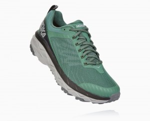 Hoka Challenger ATR 5 Wide Grey | 69243DWGE