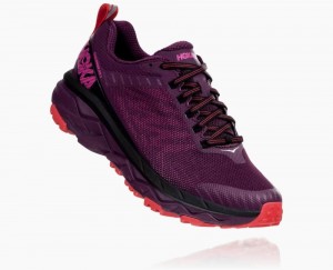 Hoka Challenger ATR 5 Wide Purple / Red | 48627JCKG