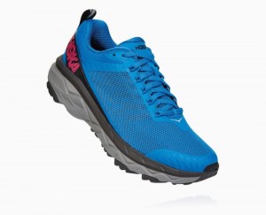 Hoka Challenger ATR 5 Wide Royal Blue / Pink Peacock | 07319BEKQ