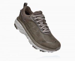 Hoka Challenger Low GORE Brown | 35892MHIY