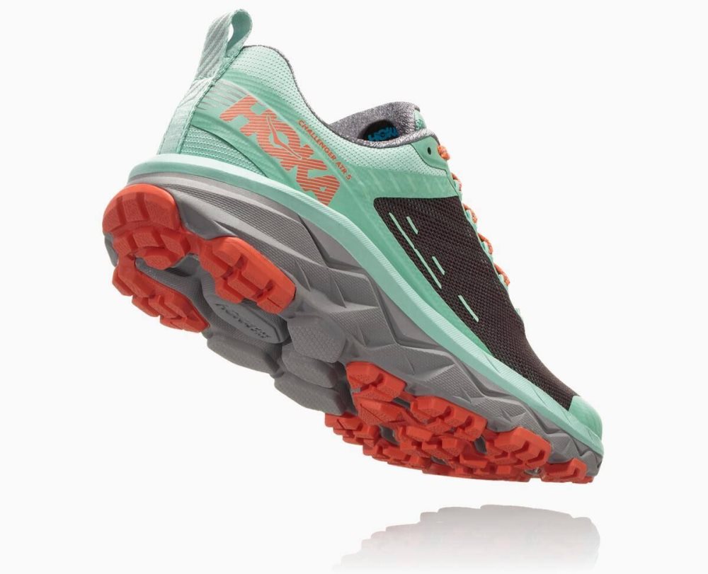 Hoka Challenger ATR 5 Pavement/Lichen | 40871HORM