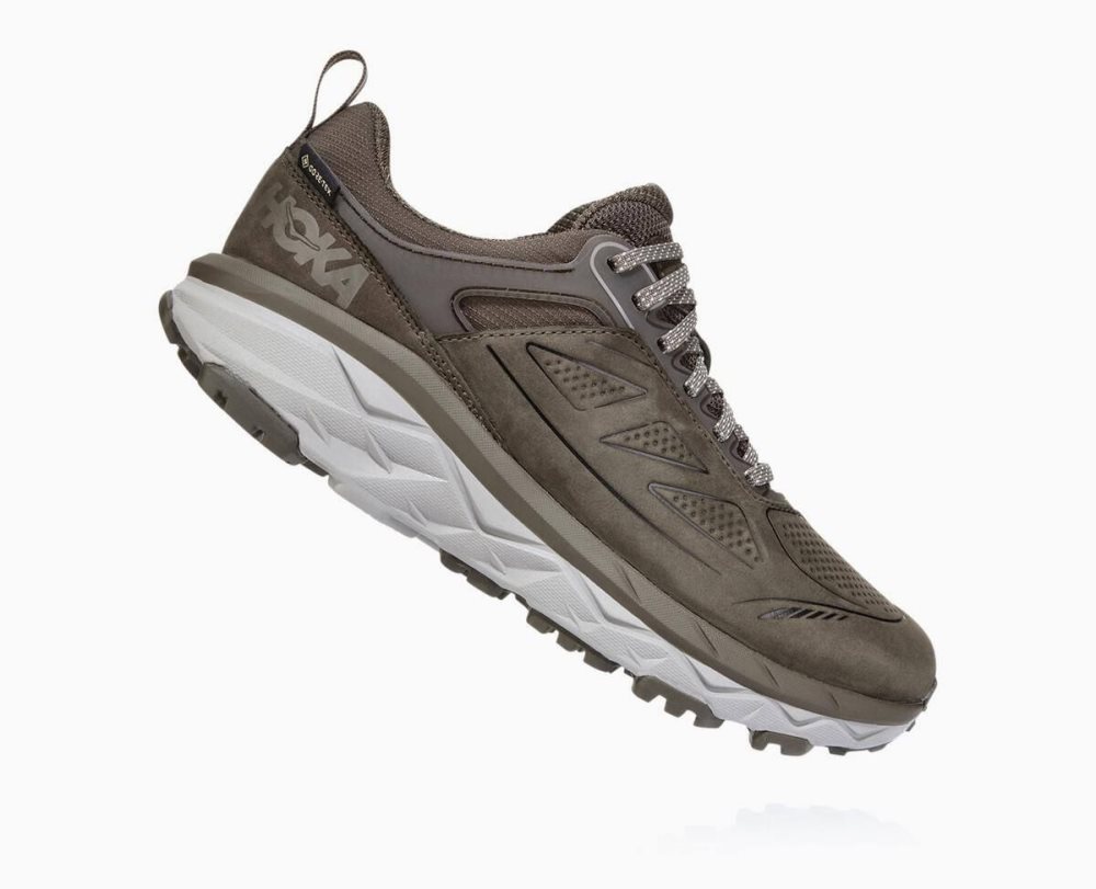 Hoka Challenger Low GORE Brown | 18904YHLB