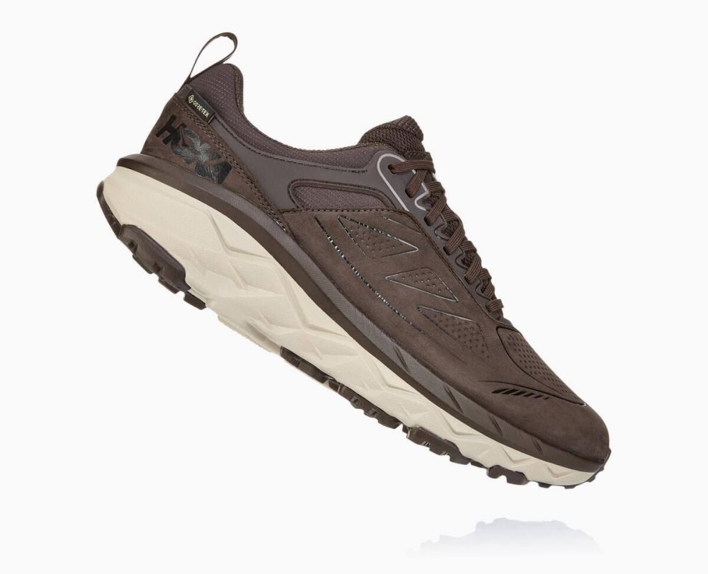 Hoka Challenger Low GORE Coffee | 10689PWOV