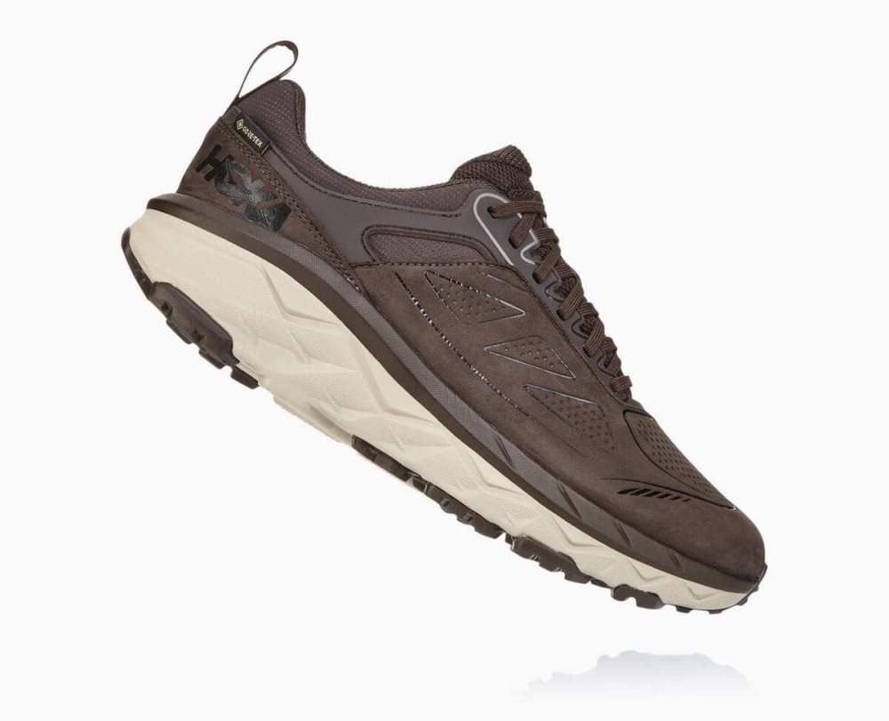 Hoka Challenger Low GORE Coffee | 13760LGBO