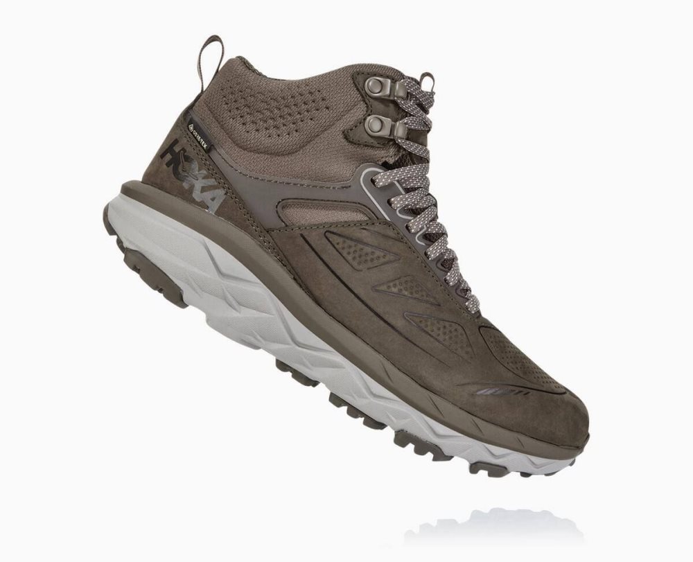 Hoka Challenger Mid GORE Brown | 15639QNDX