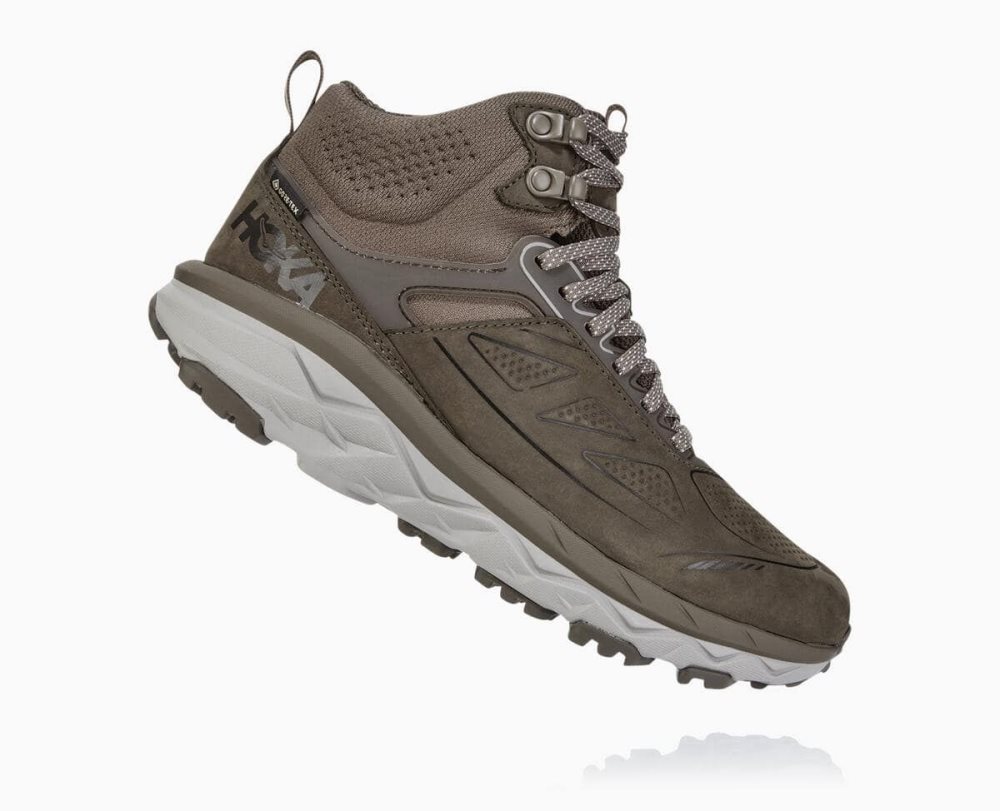 Hoka Challenger Mid GORE Brown | 97604MRQV