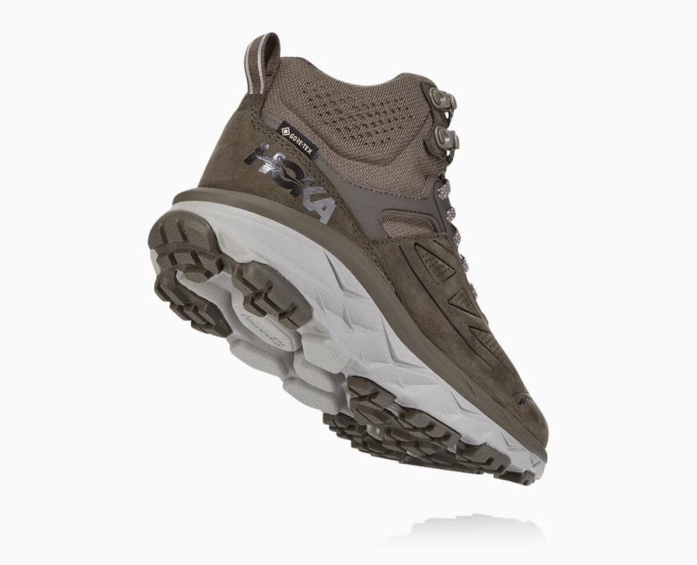 Hoka Challenger Mid GORE Brown | 97604MRQV