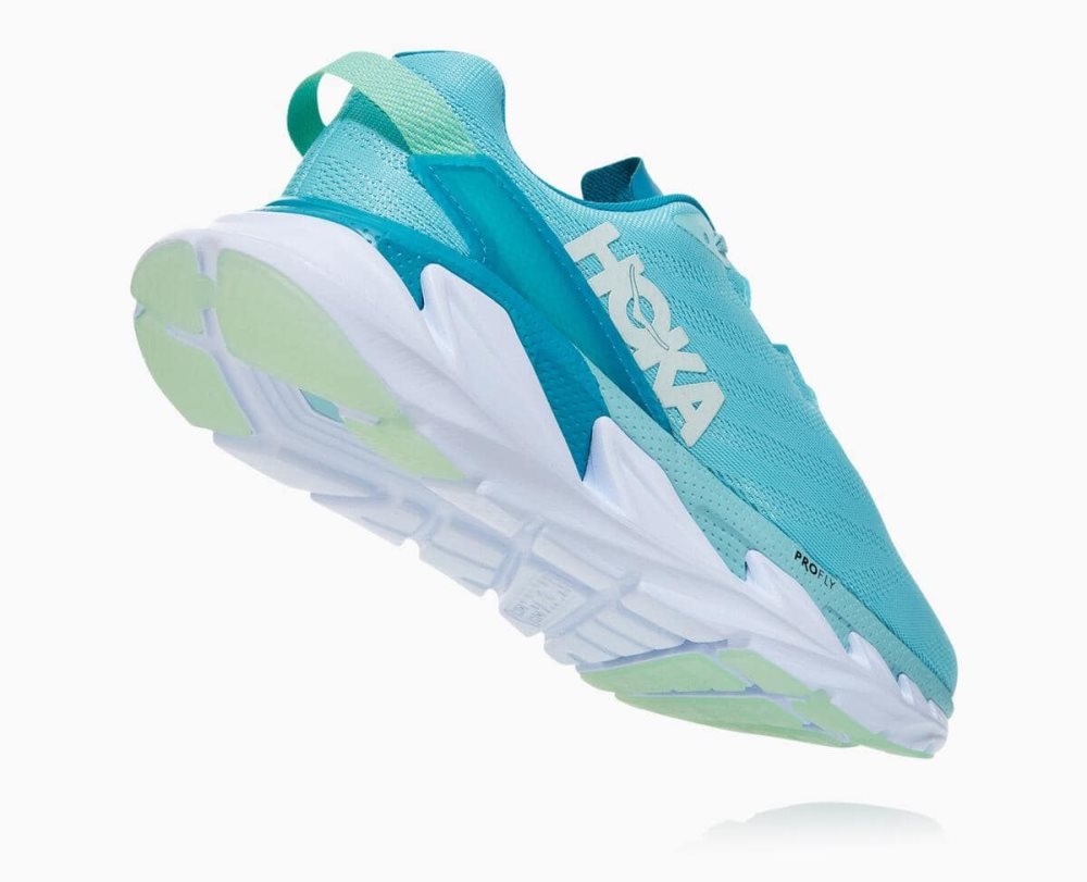 Hoka Elevon 2 Brown / Blue | 39140CWHL